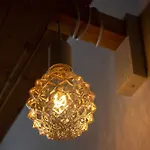 Casa Da Carreira De